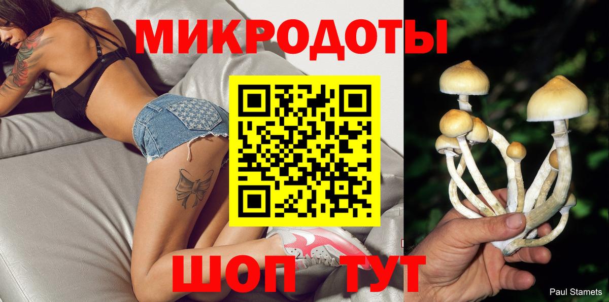 Галлюциногенные грибы Psilocybe Белорецк